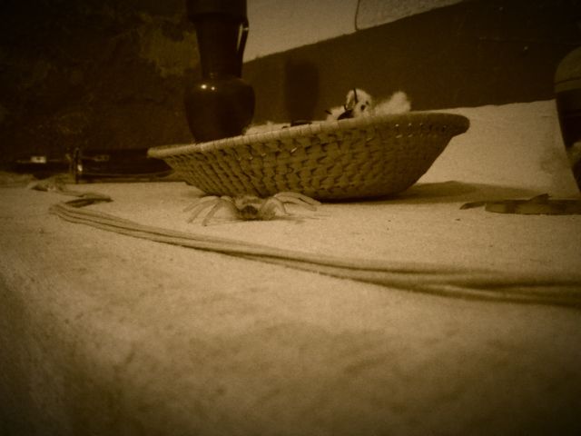 A Múmia játék díszlet elemei a Szabadulós Pincében